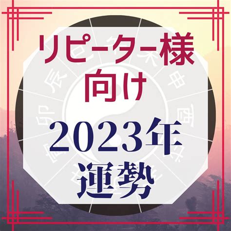 様々な占術を用いて運気を占っています 